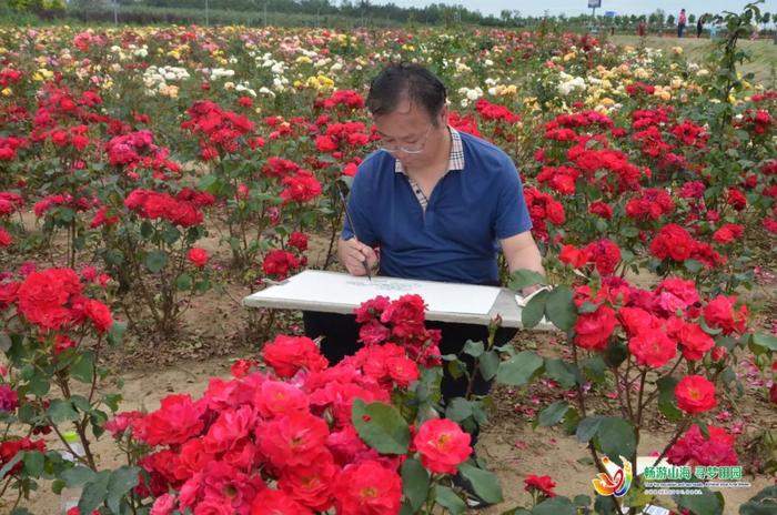 以花为伴，守着入海口，这个村曾经叫“浪浪”