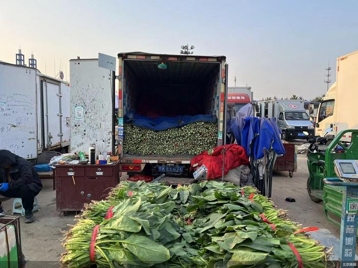 秋季蔬菜大量上市 北京叶类菜价格下降