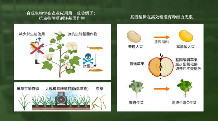 直播预告丨现代农业发生了哪些翻天覆地的变化？周三晚6点，听专家讲农业那些事～