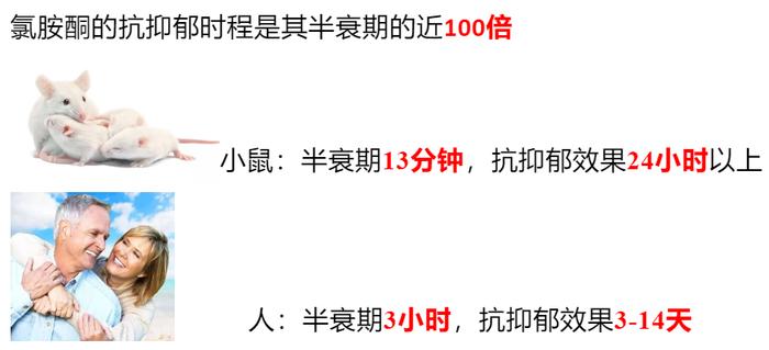 五年磨一剑！胡海岚团队揭示明星抗抑郁药的作用机制