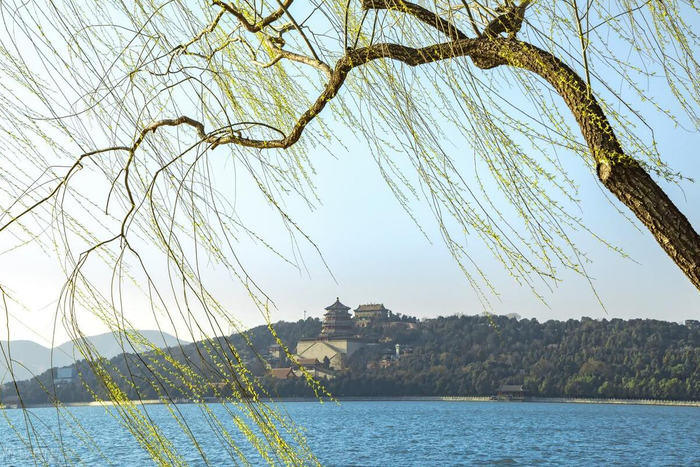 感情淡了怎么办 女生说忘了你的真实心理