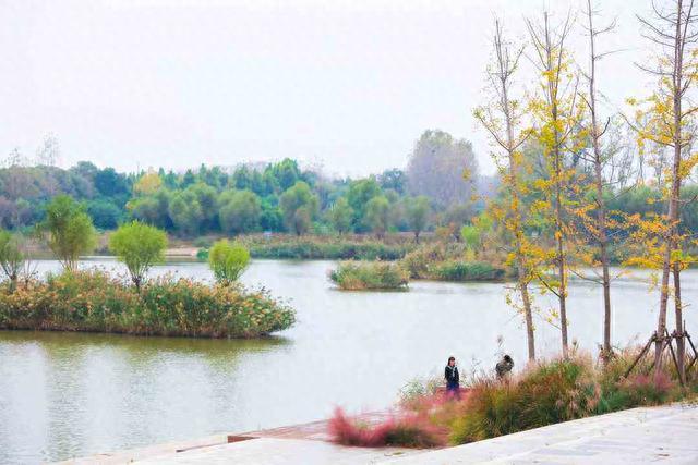 别忘了！郑州黄河岸边的秋，在等你去赏