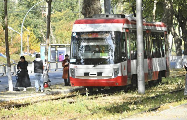 秋日“限量款”已上线，长春这道54年历史的风景线刷爆朋友圈！