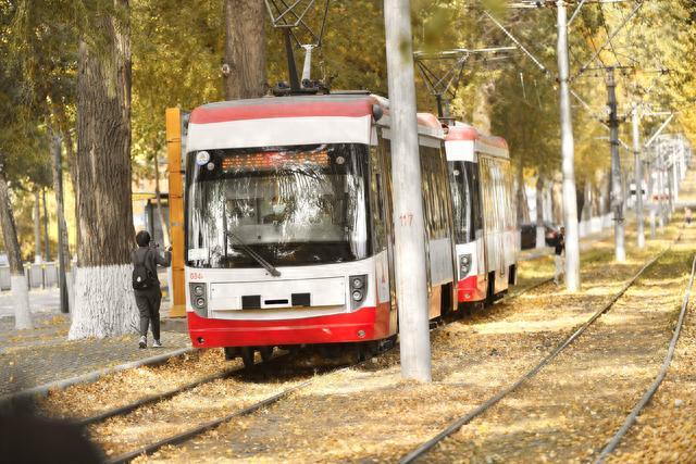 秋日“限量款”已上线，长春这道54年历史的风景线刷爆朋友圈！