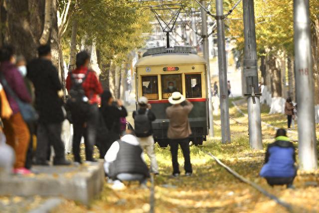 秋日“限量款”已上线，长春这道54年历史的风景线刷爆朋友圈！