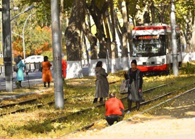 秋日“限量款”已上线，长春这道54年历史的风景线刷爆朋友圈！