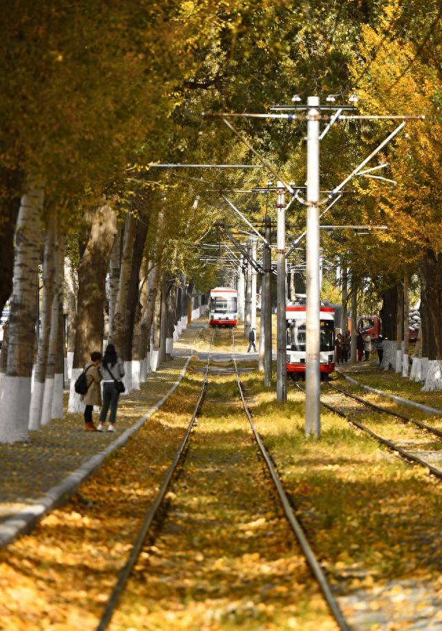 秋日“限量款”已上线，长春这道54年历史的风景线刷爆朋友圈！