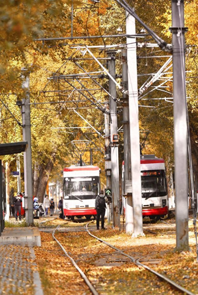 秋日“限量款”已上线，长春这道54年历史的风景线刷爆朋友圈！