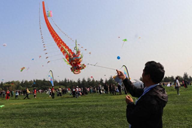 山东潍坊风筝“筝”奇斗艳 扮靓天空