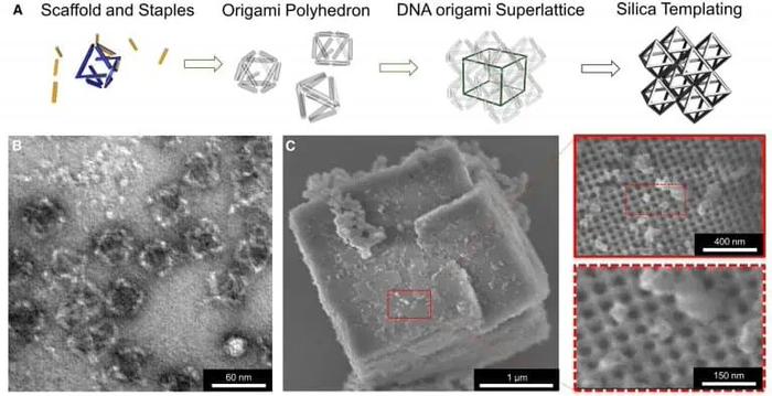 科学家利用DNA和玻璃打造出新型轻质材料强度是钢的四倍 财经头条