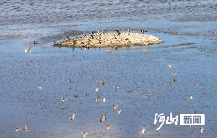 张家口沽源：闪电河湿地深秋美景如画引客来