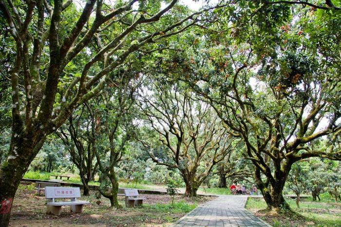 “我要和我最好的朋友去粤西玩！”茂名打卡线路请收好 →