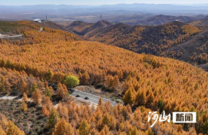 胭脂林障 翡翠山屏丨张家口坝上秋色美