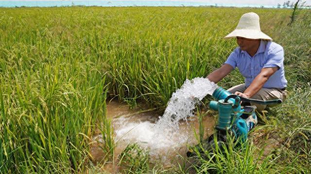 如何推动灌区建设保障粮食安全？水利部答澎湃