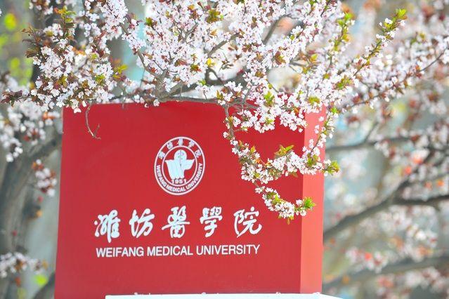 学院拟更名大学！这5所高校有新进展