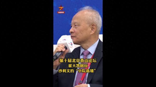 崔天凯：美方提出“小院高墙”与“脱钩断链”没有本质区别