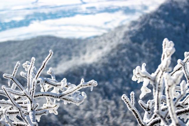 长春新雪季来啦！第一场雪下的神鹿峰，有种泼墨山水之美！