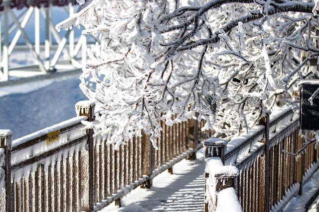 长春新雪季来啦！第一场雪下的神鹿峰，有种泼墨山水之美！