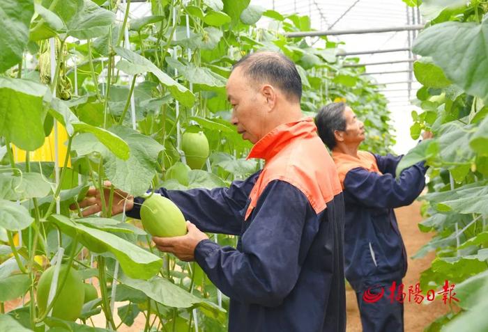 兴 · 揭阳 | 普宁利泰飞鹅岭农业公园景区