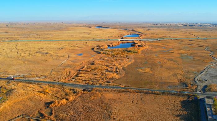 新疆和田：尼雅国家湿地公园——秋染湿地美如画
