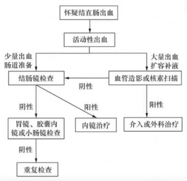 遇到下消化道出血怎么处理？2大处理要点一次说清！