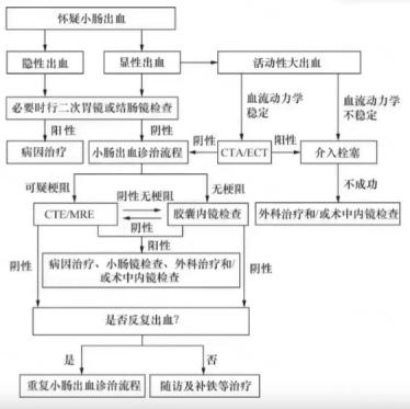 遇到下消化道出血怎么处理？2大处理要点一次说清！