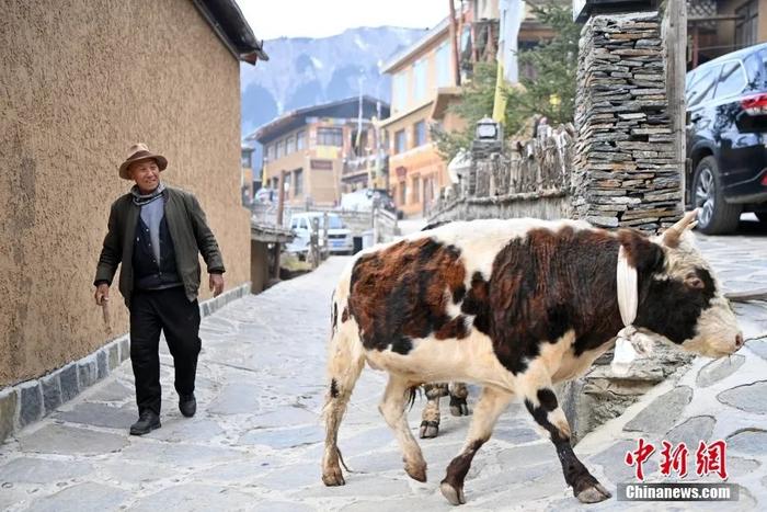 【中央媒体看甘肃】甘肃扎尕那“蝶变记”：从“山乡藏寨”到联合国世界旅游组织“最佳旅游乡村”