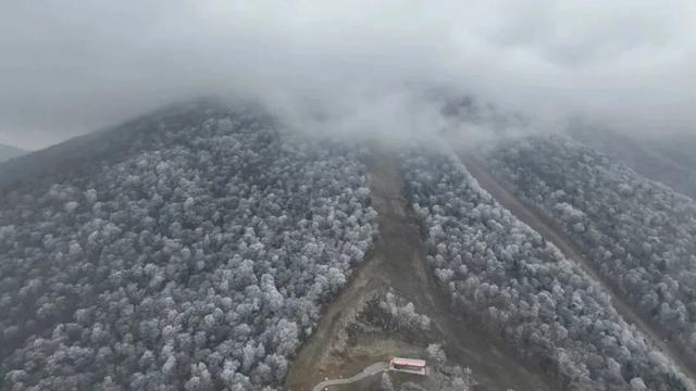 早八条丨我省科技型中小企业数量同比增幅连续两月全国第一/雪季倒计时！松花湖滑雪场预计17日开板