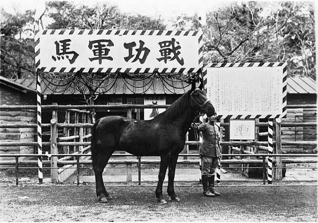 刘晓晨评《樱与兽》︱从大象到熊猫：现代化转型背景下的动物与动物园