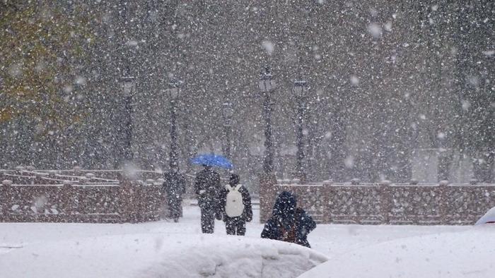 农民日报专访农艺专家：东北降雪对农业生产影响有多大？