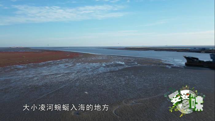 缤纷凌海，约你尝鲜