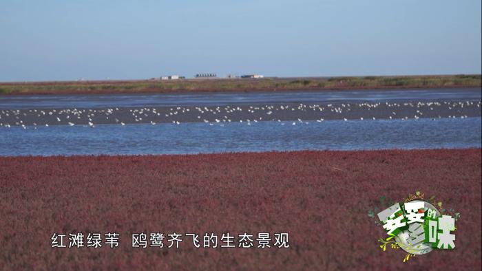 缤纷凌海，约你尝鲜