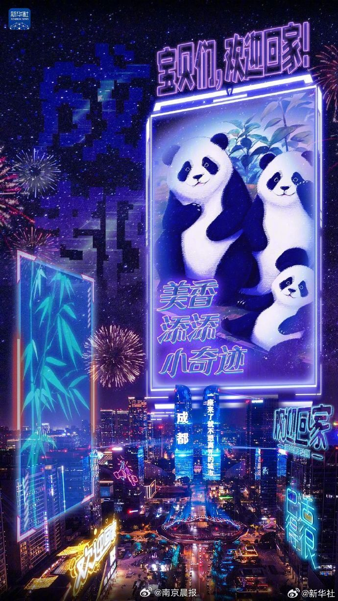 转起!在网上为美香一家接机