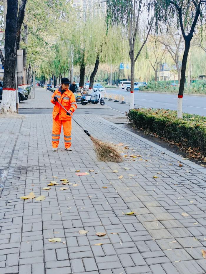 大风过后，太原城里的落叶去哪了？