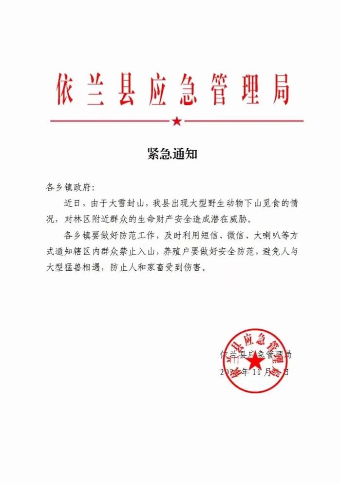 网传老虎下山吃牛，黑龙江依兰县发布紧急通知禁止入山