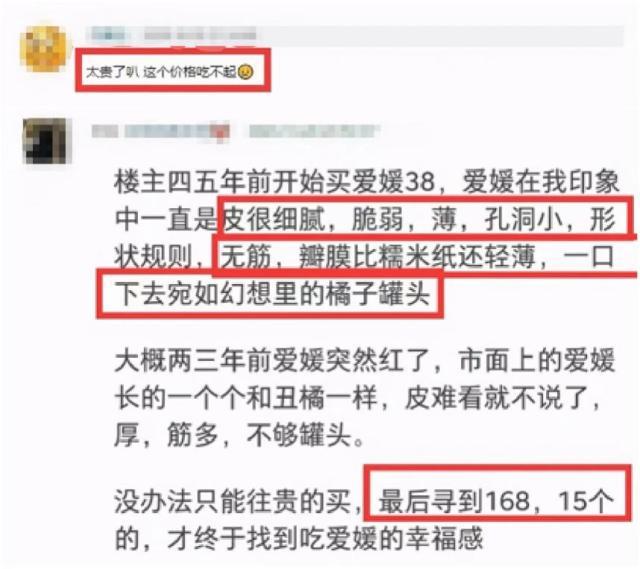 产地消费者都在这家电商买爱媛橙 最低价、树上熟、真新鲜才是打动消费者的关键