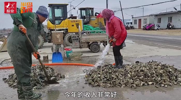 凌晨3点，青岛一对夫妻摸黑出海！这种海鲜…到了最肥美的时候！忙活一季能挣四五十万