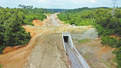 在川央企参建 设立野生大象专用通道