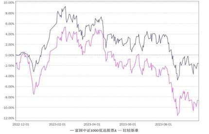 中证500怎么投？我被“智能化”包围了！