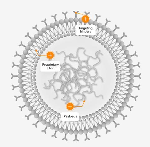 mRNA疗法如何助力细胞疗法开启新篇章？科学家竟想直接在患者体内改造免疫细胞！