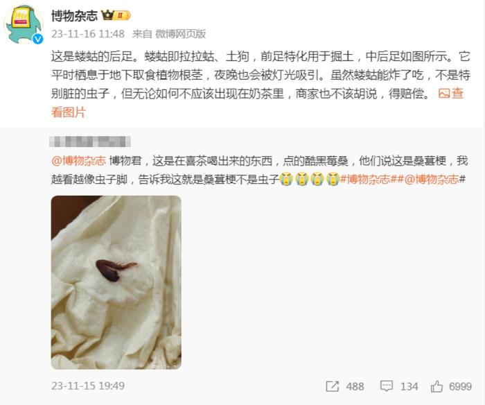 消费者质疑奶茶中喝出虫子，喜茶客服回复