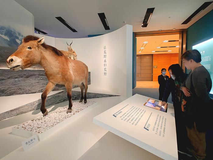 “共同家园——大自然的奇迹”展览在中国国家博物馆正式对外展出