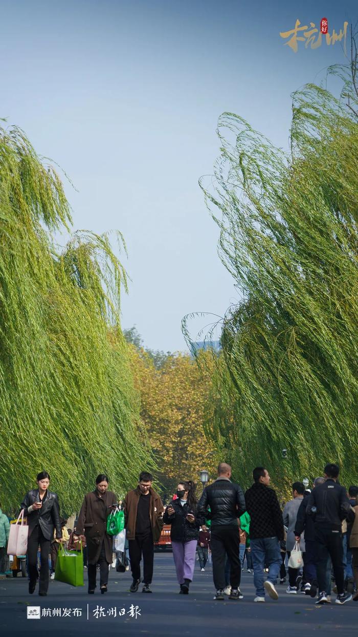 好大的风！西湖边这幅光景，杭州人开心了！今起持续一周……