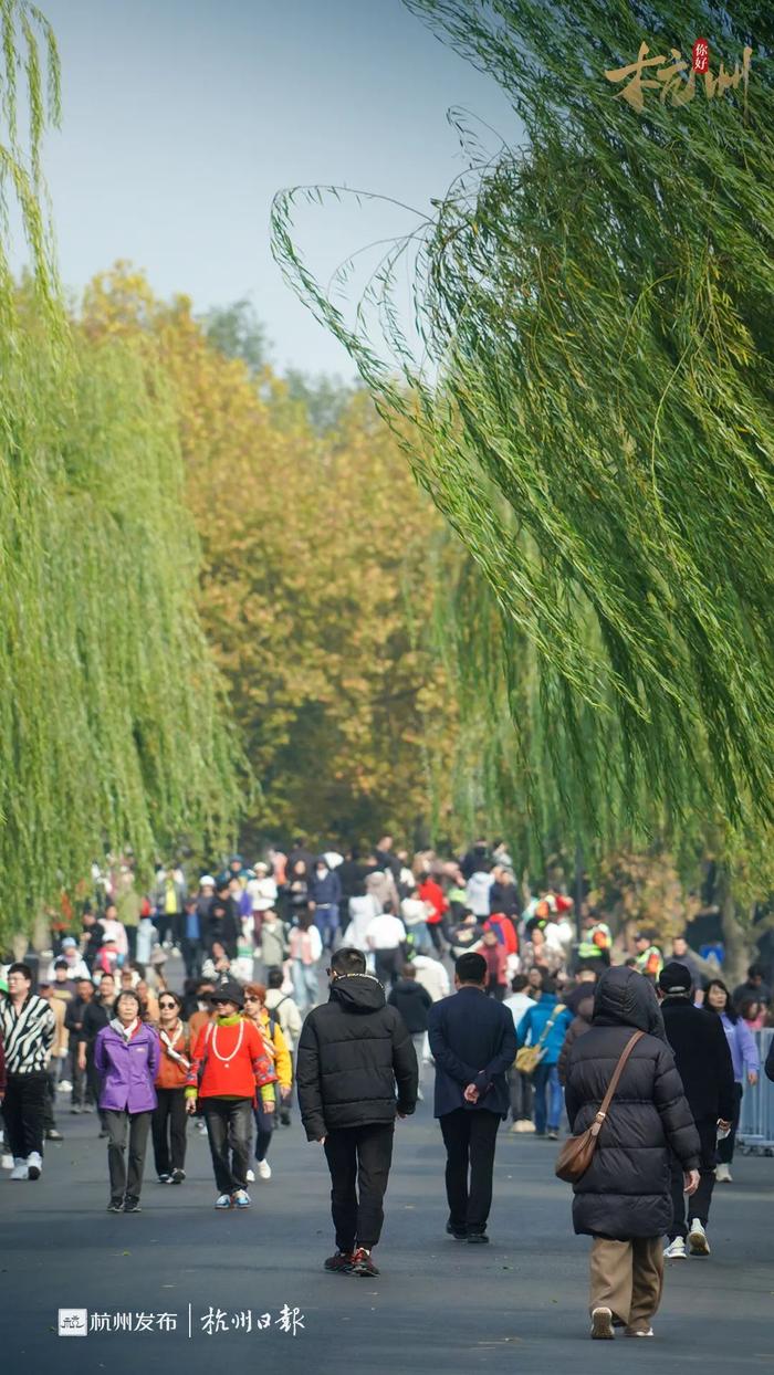 好大的风！西湖边这幅光景，杭州人开心了！今起持续一周……