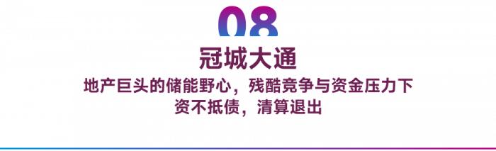 启示录：这十大储能巨头缘何走向 “败落”