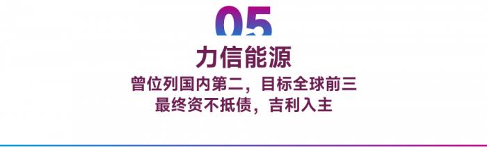 启示录：这十大储能巨头缘何走向 “败落”