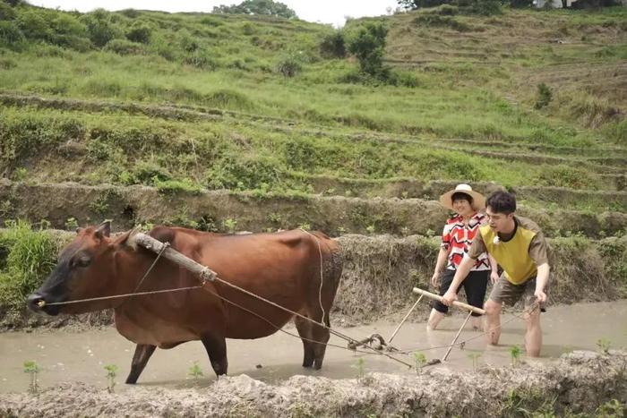 两项金奖！广东卫视在中国国际广告节“2023广告主金伙伴盛典”获殊荣