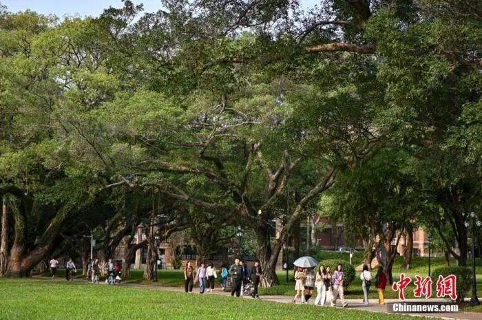 资料图:中山大学校园 中新社记者 陈骥旻 摄