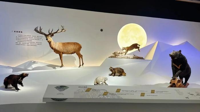 展览｜中国国家博物馆与国家自然博物馆联合举办“共同家园——大自然的奇迹”主题展览