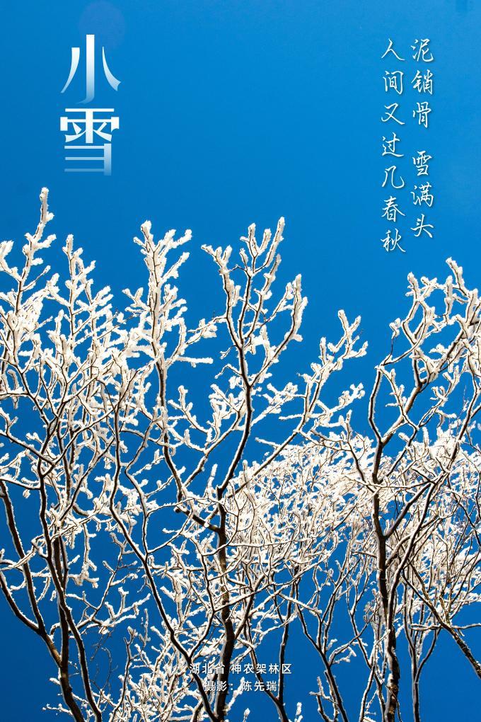 寻声·小雪｜北风邀来三分雪，点点银白在枝头